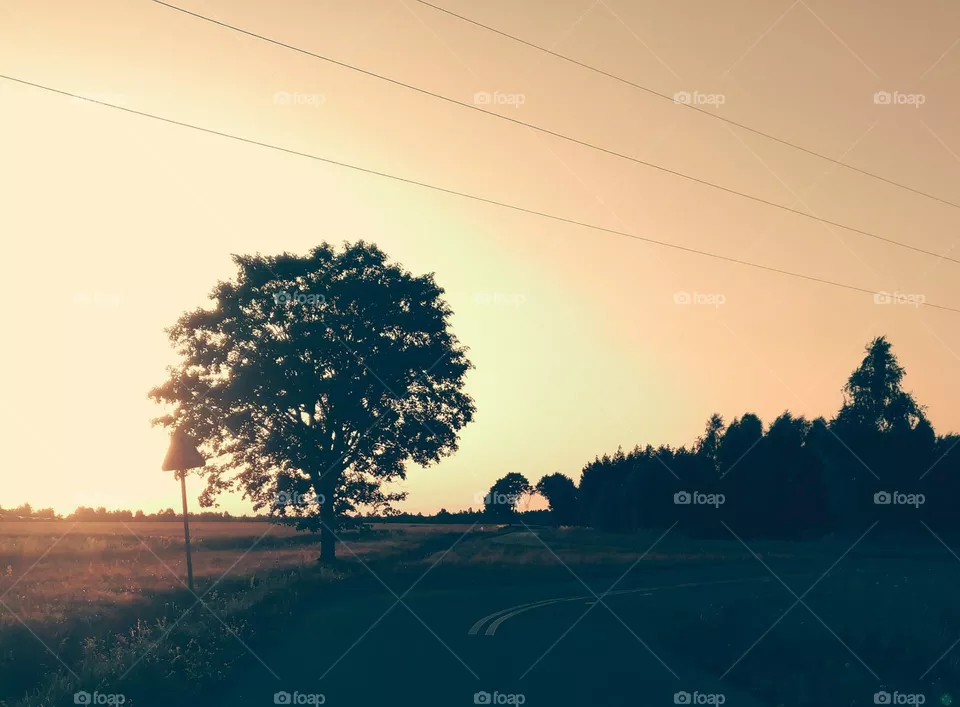 sunset