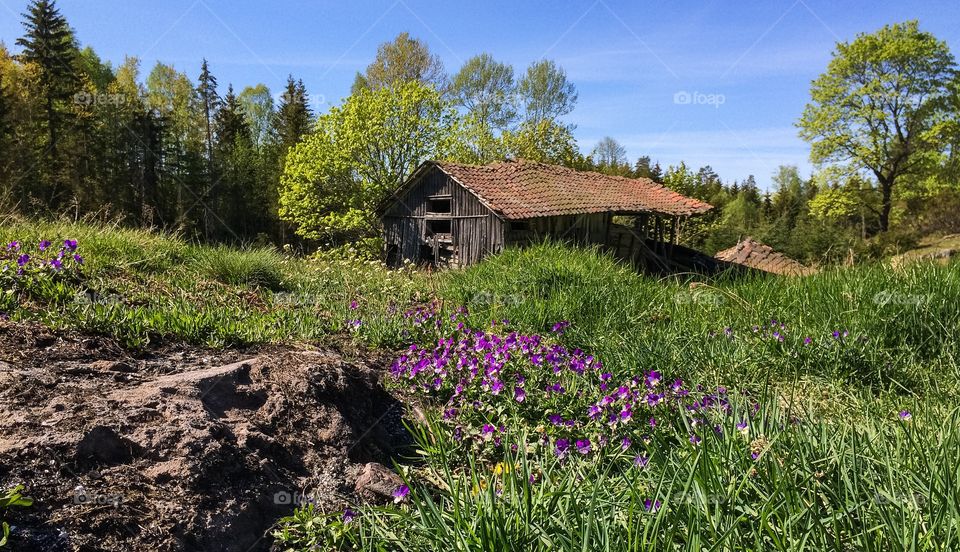 Old barn 