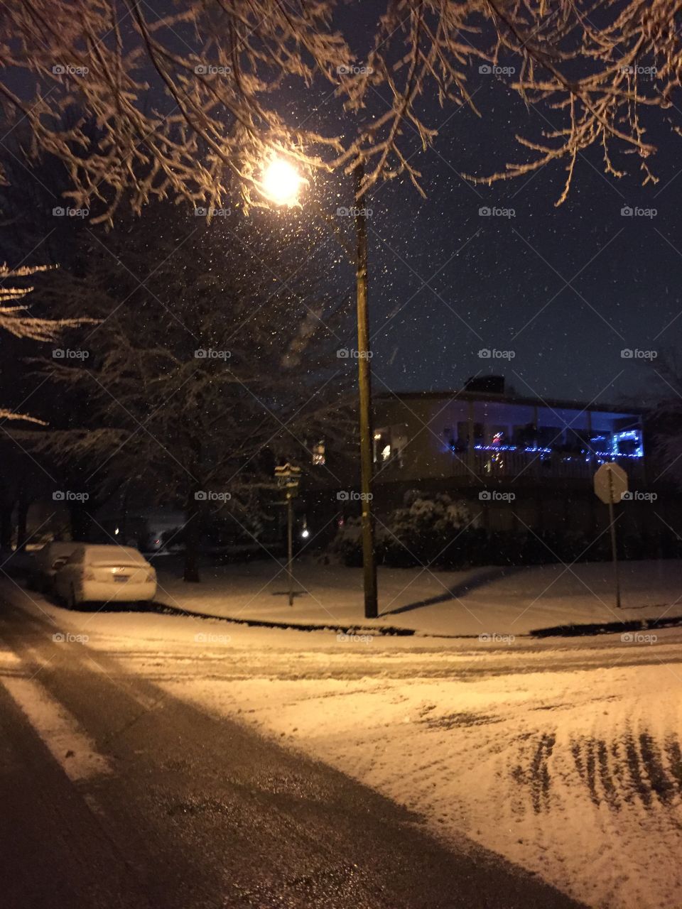 Light, Winter, Snow, Street, Road