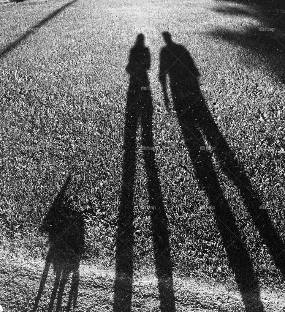 Family shadow