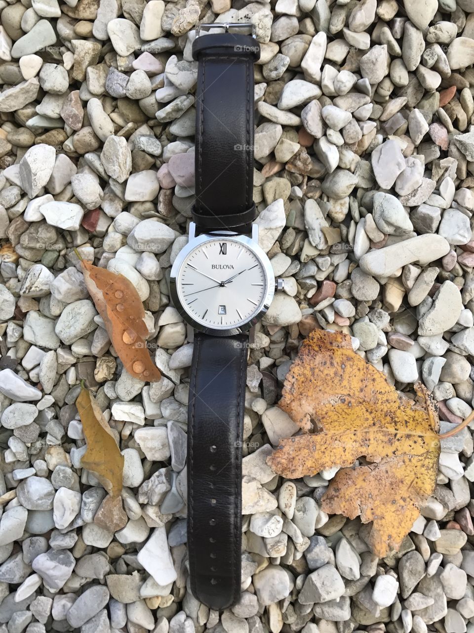 Bulova watch with pebbles background 