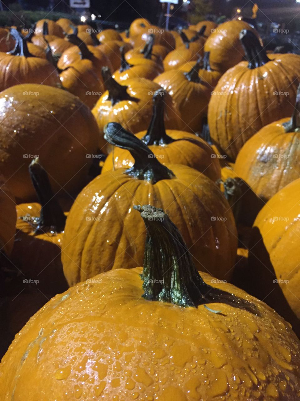 Clsoe-up of wet pumpkins