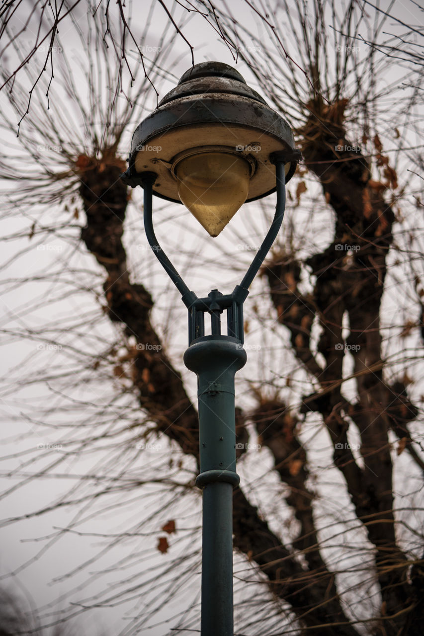 Old rusty street lantern with a withered tree and gloomy winter sky in the background.