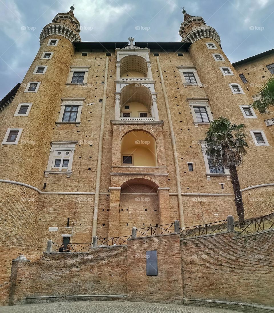 Urbino