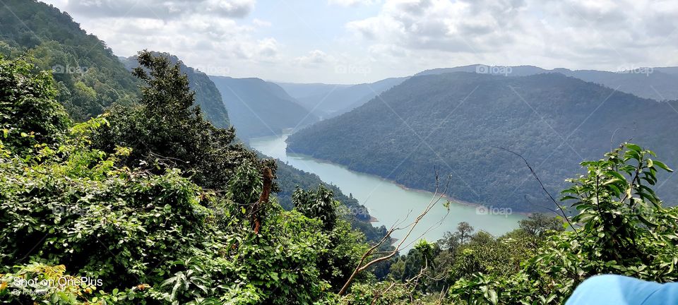 Green with River Divider