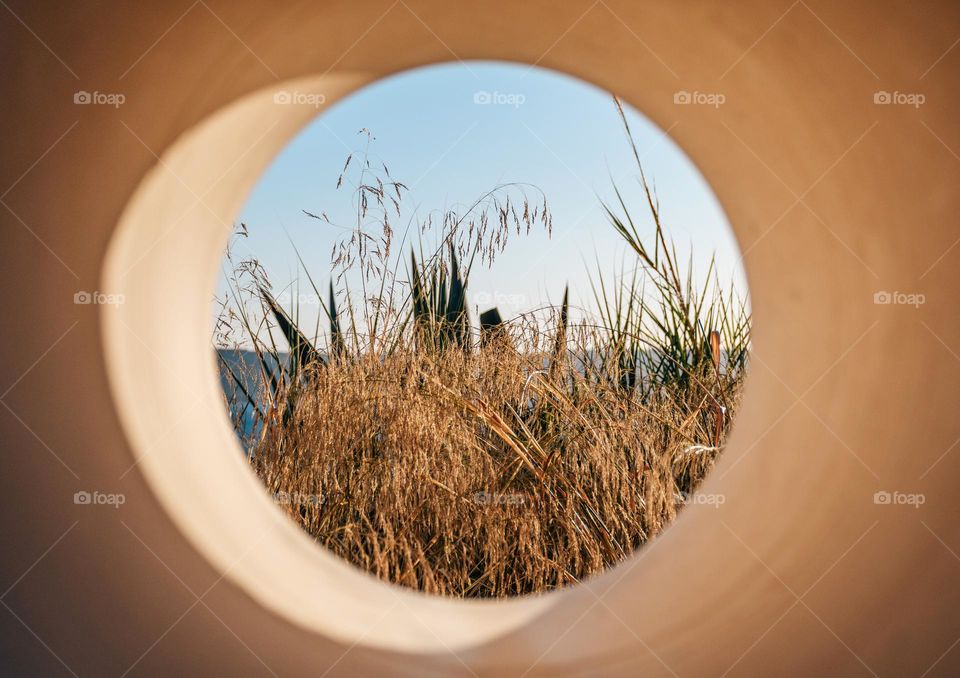 Circular window on concrete wall with view of plants and tall grass