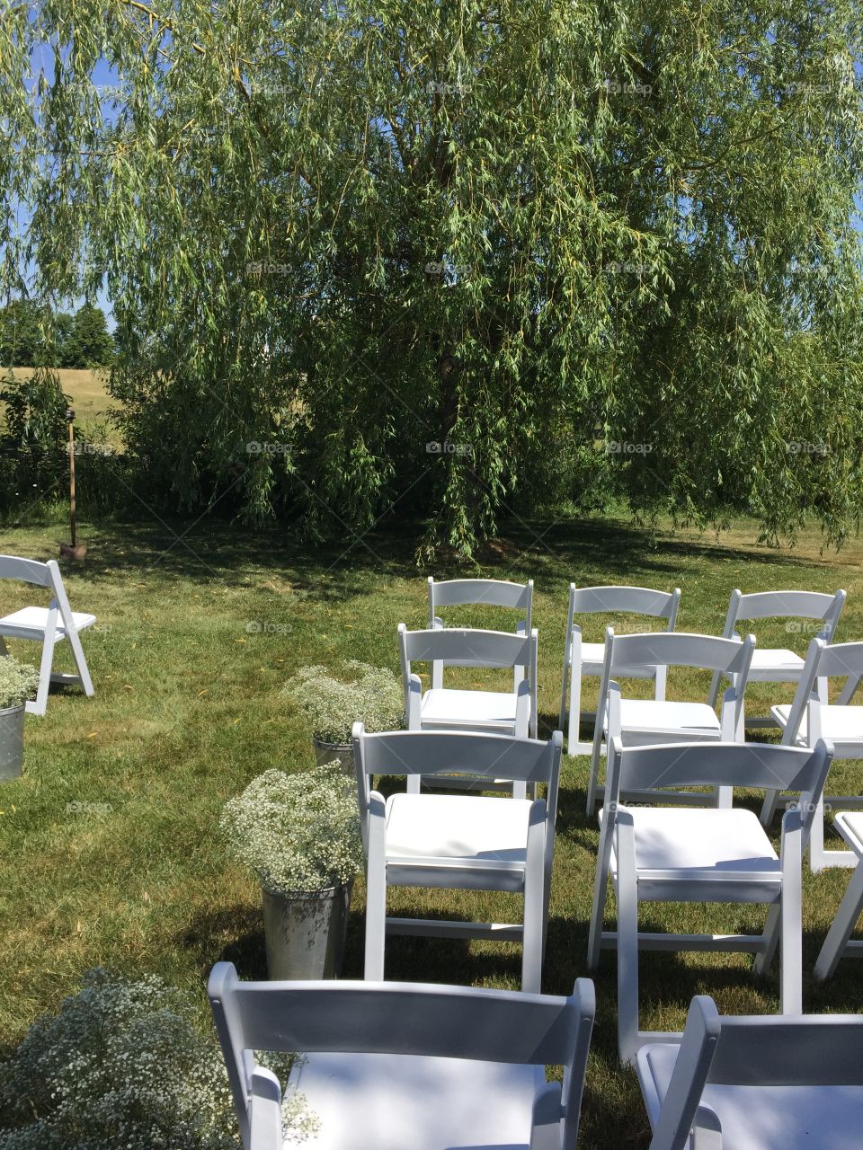 Wedding under a willow