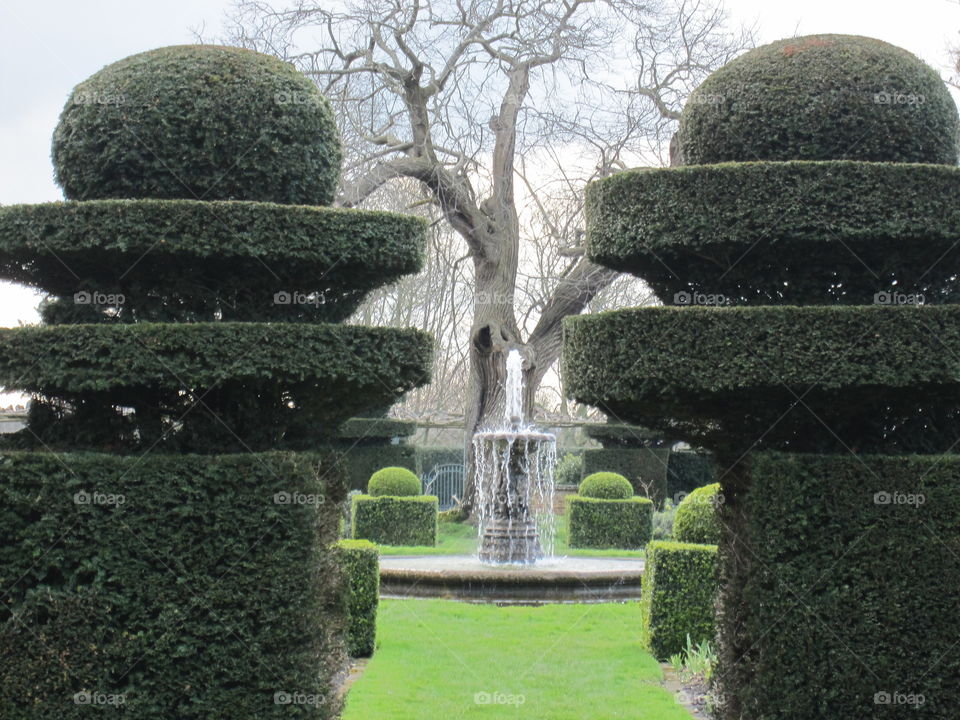 Garden, Hedge, Topiary, No Person, Tree