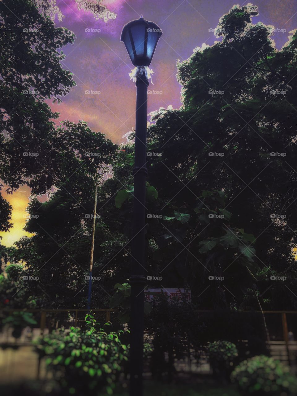 Street light !! With some awesome colours 