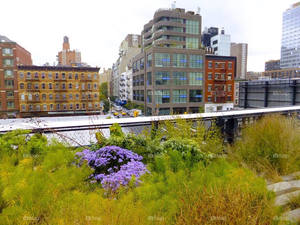 NEW YORK CITY HIGH LINE PARK CITY VIEW