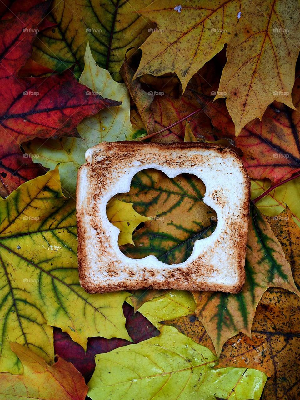 Autumn. On multi-colored maple leaves lies toasted bread, the middle of which is carved in the shape of a flower. All the colors and shades of autumn