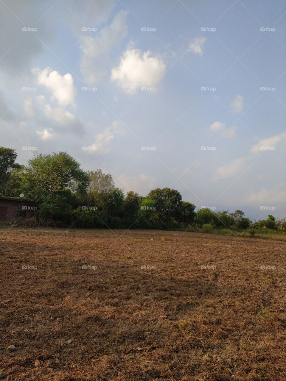 Beautiful view of open fields in a calm cool countryside