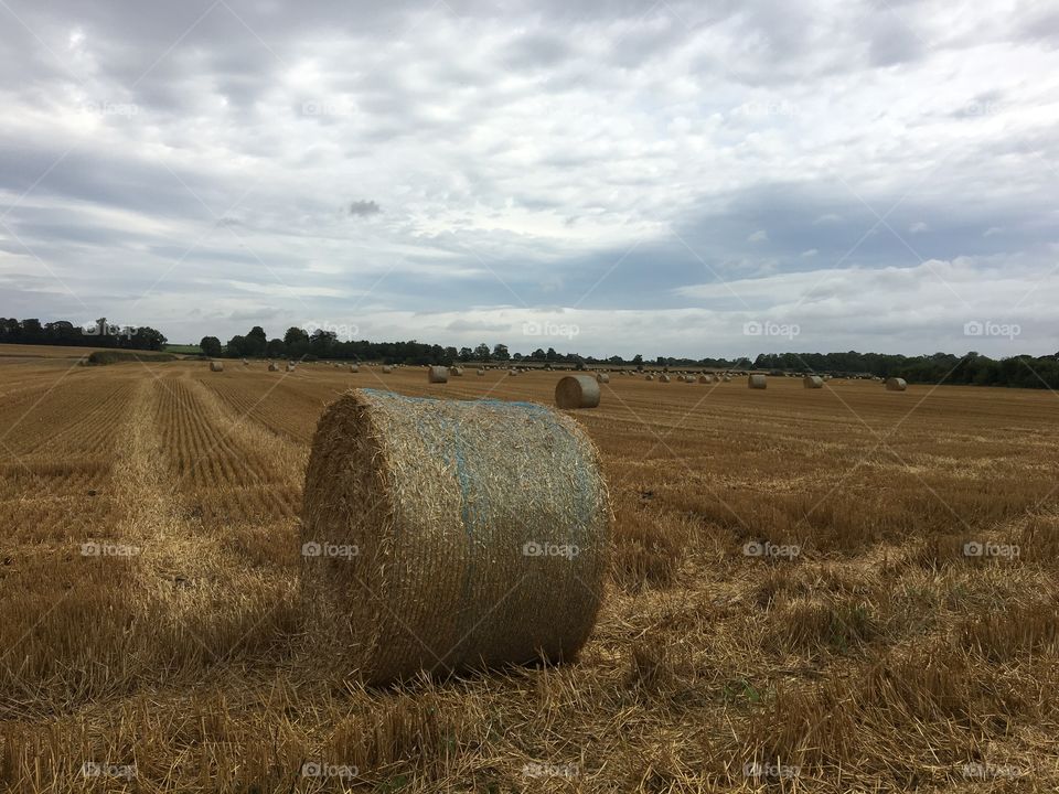 English countryside 