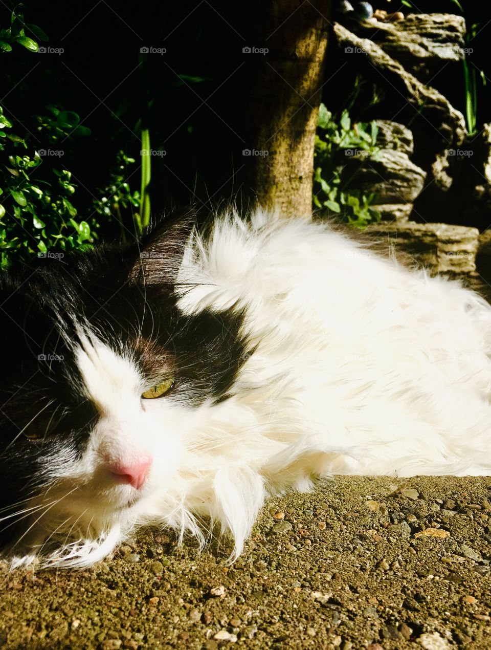 I plopped and won’t stop