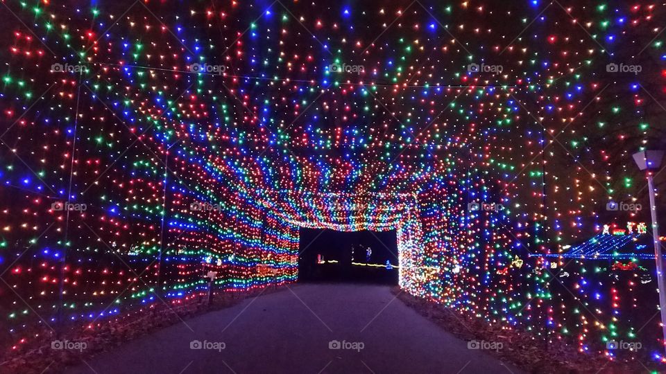 Christmas lights in Indiana.