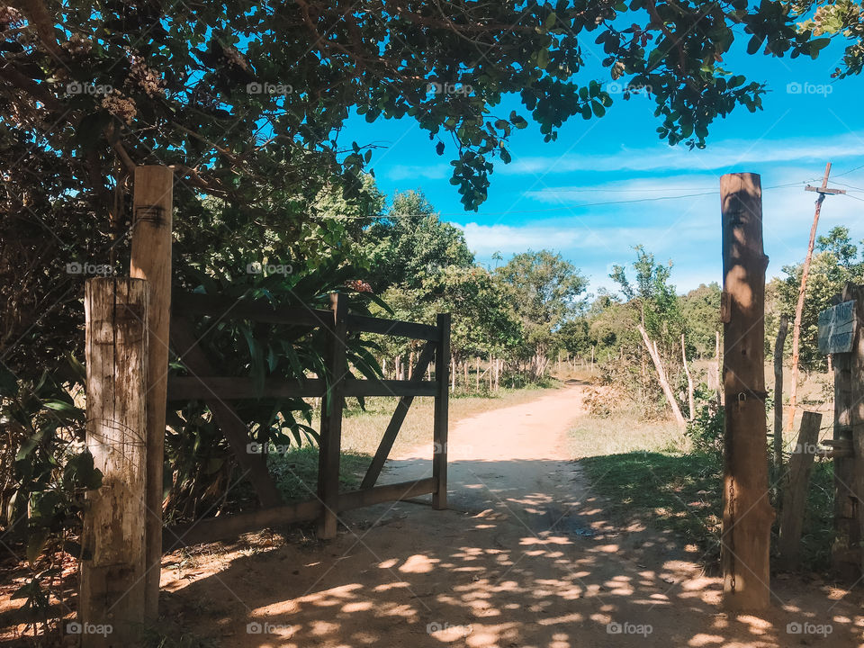 Abre a porteira seu moço!