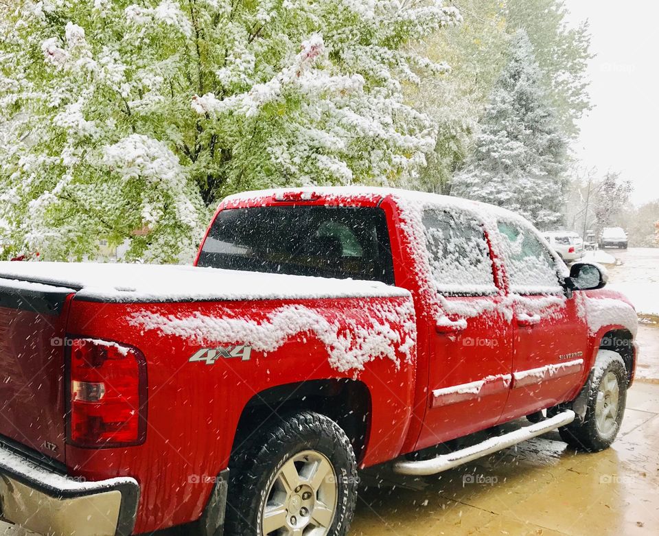 Snow covered red Chevy truck sitting outside on chilly winter day next to a beautiful snow covered tree. 
