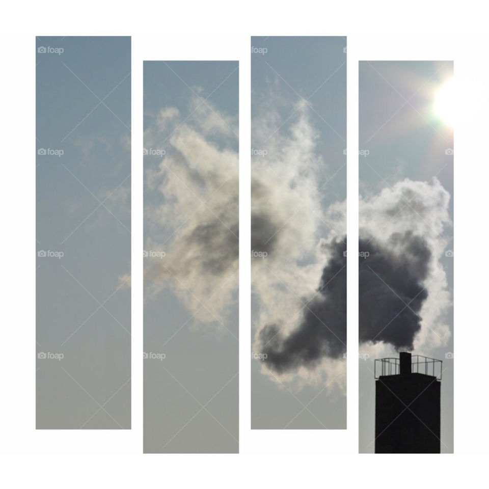 Smoke from burning wood