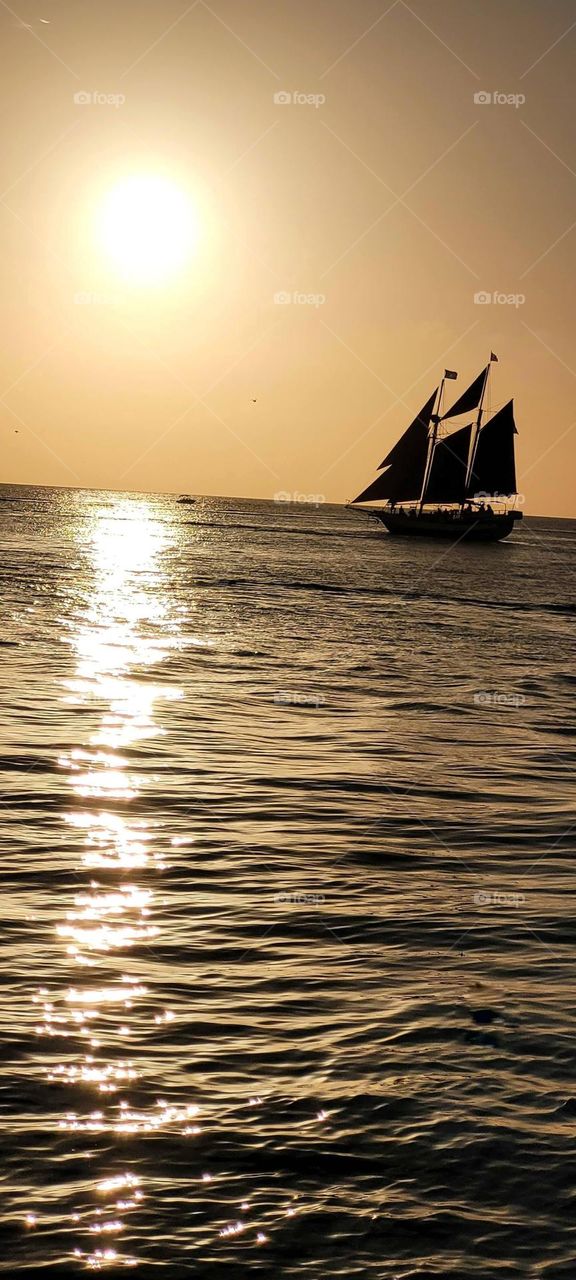 red sails in the sunset