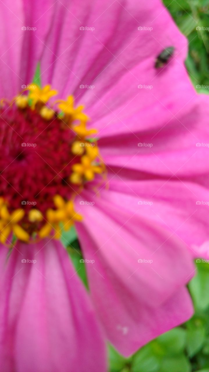 The Beauty Which Surrounds Us