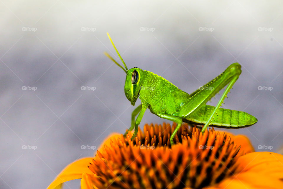 Ready for My Close Up!