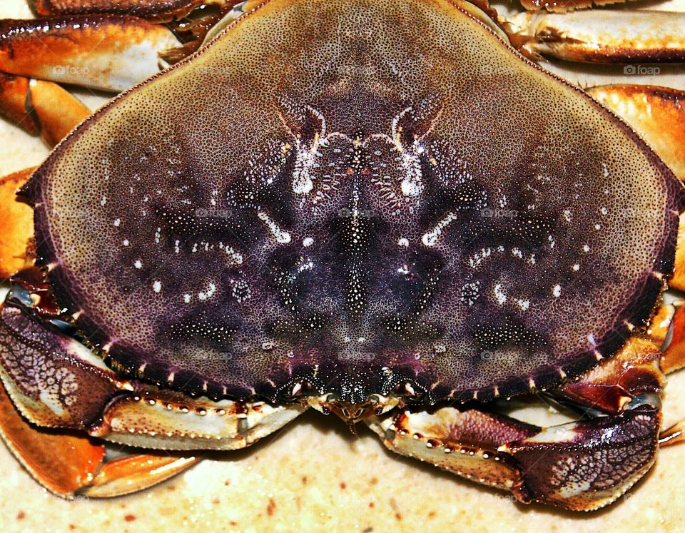 Delicious Crab 
Mark's photography travels 
Myevolutiontravel.com/marks