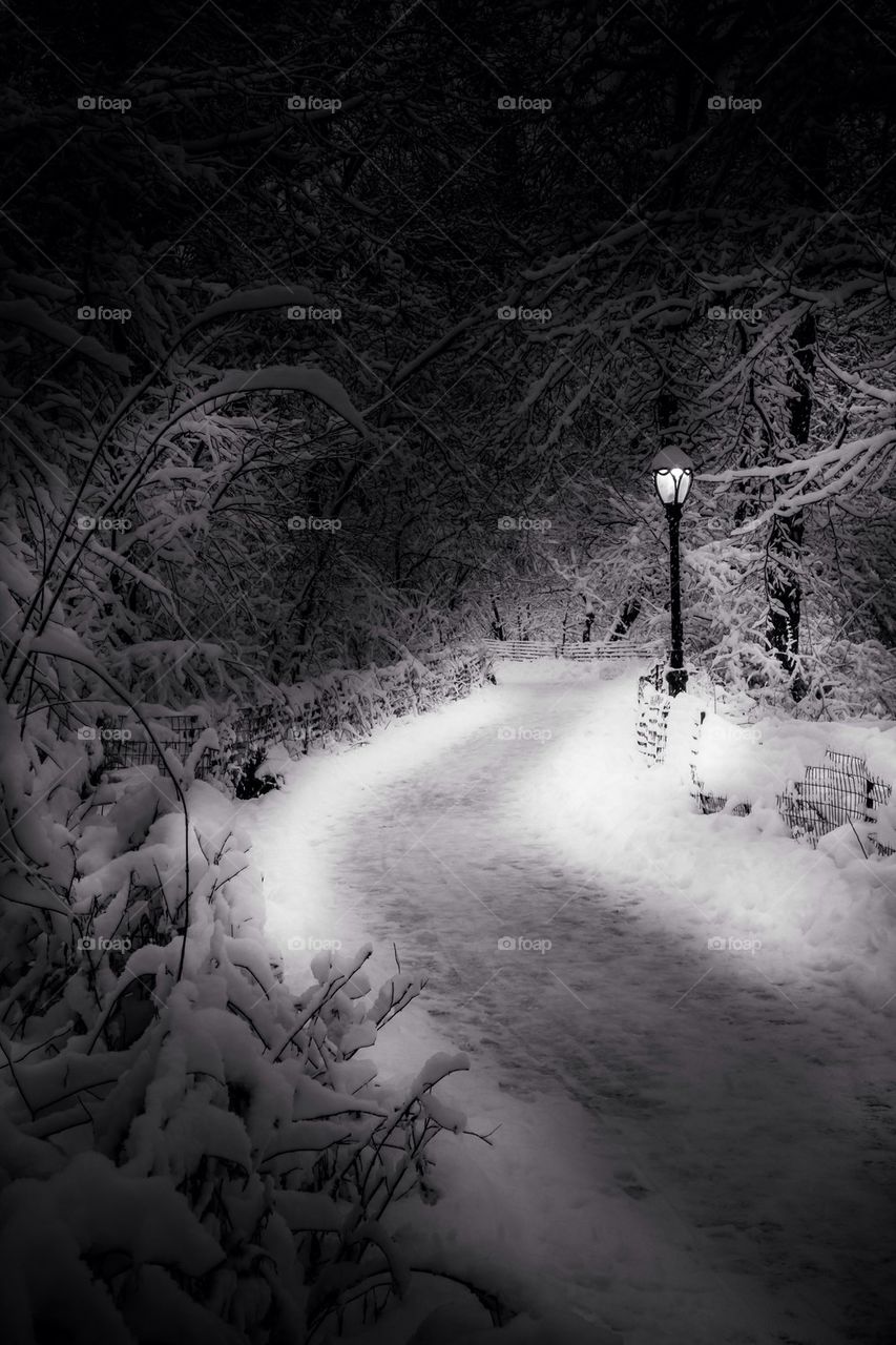 Central Park snow 