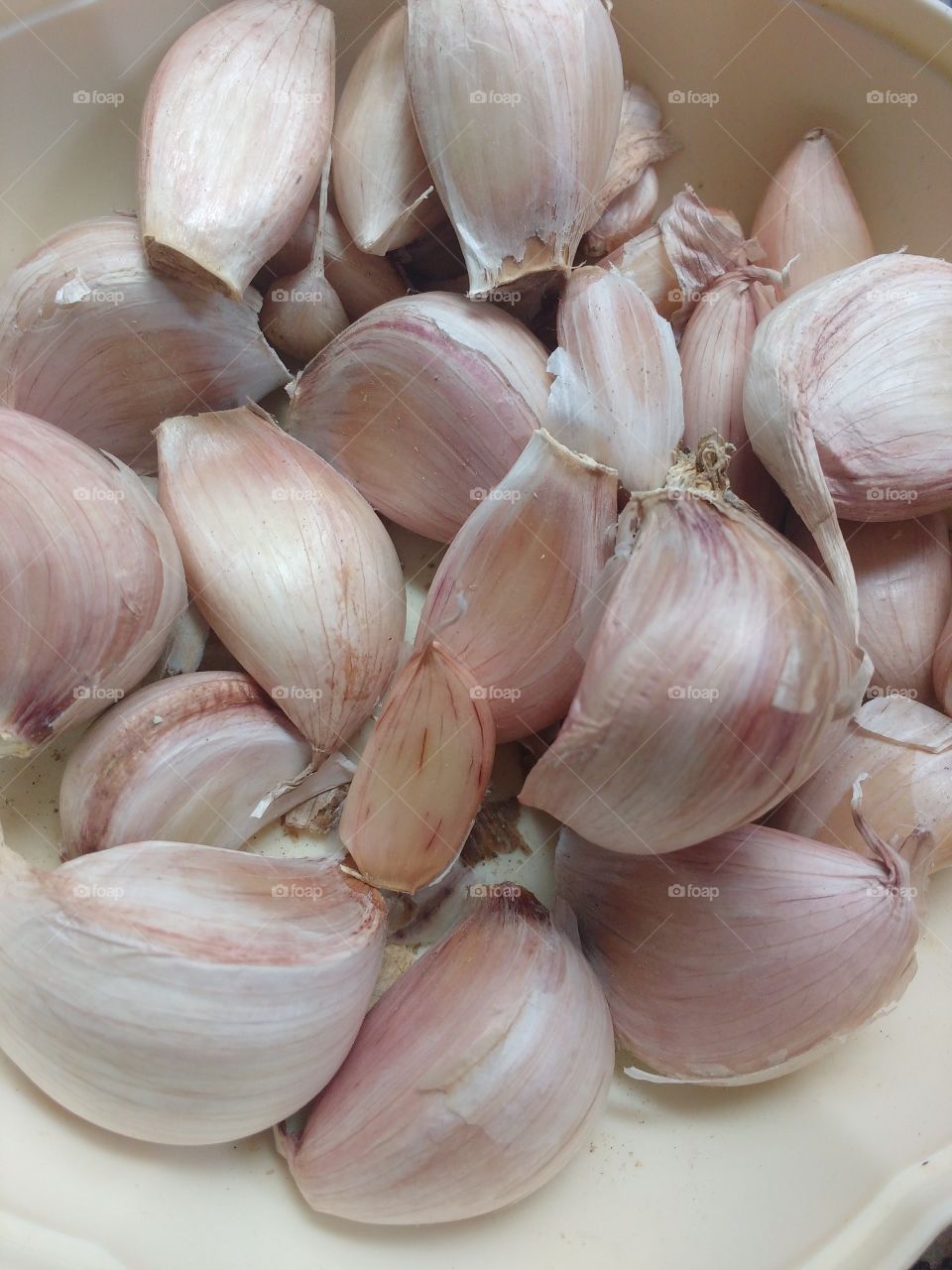 garlic