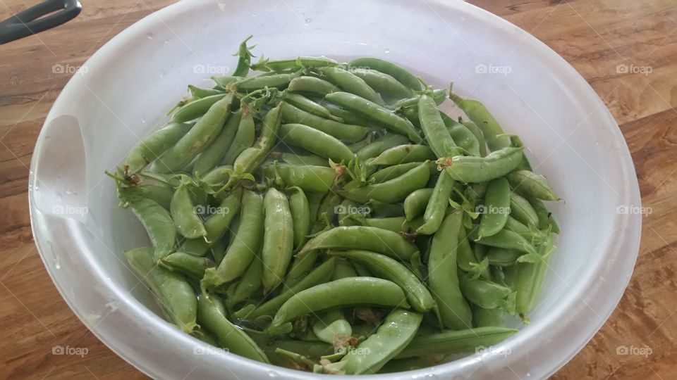 Garden sugar snap peas