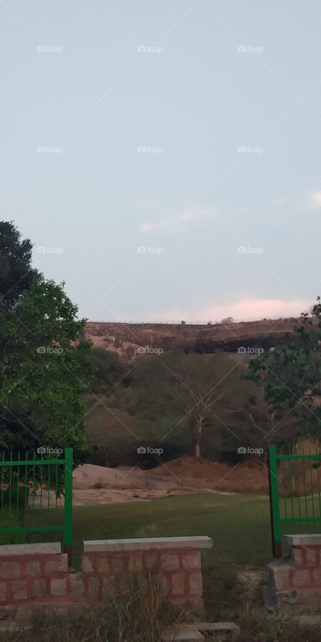 nature mountain and trees