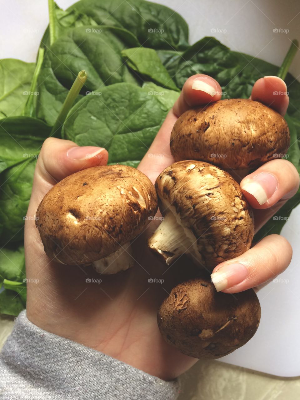 Close-up of mushrooms in hand