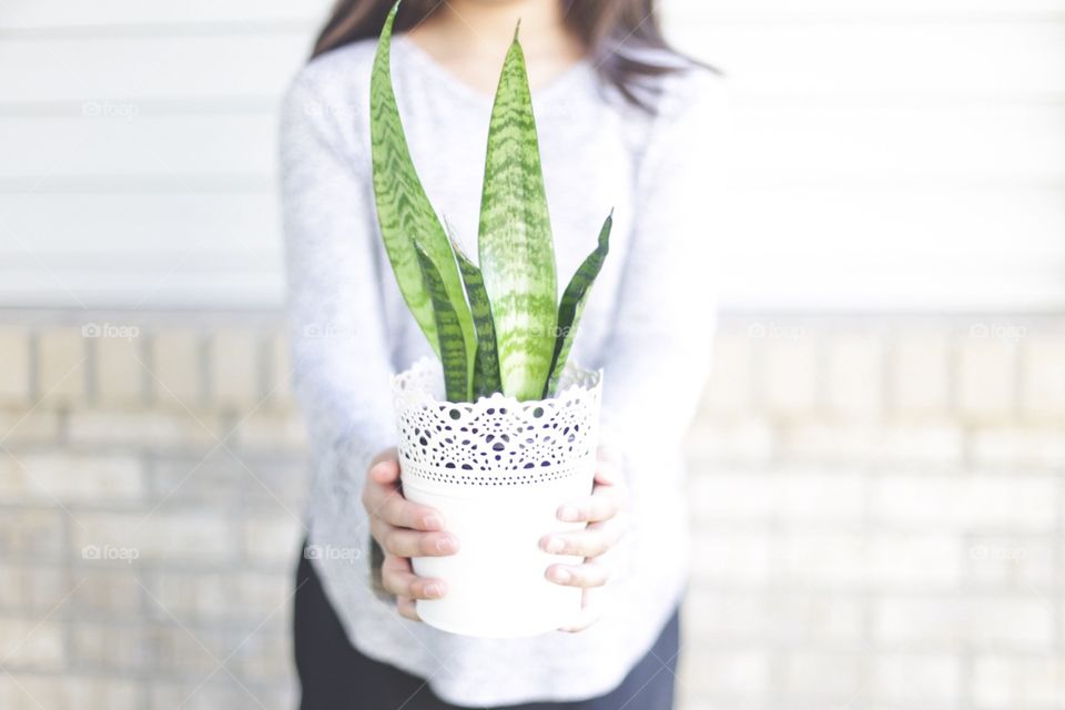 Girl holding snake plant 