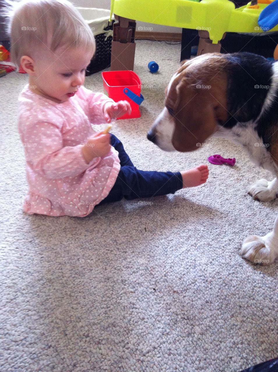 Baby and Beagle