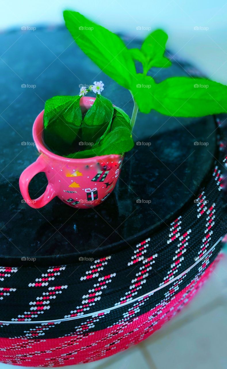 cantinho básico com uma xícara de chá.