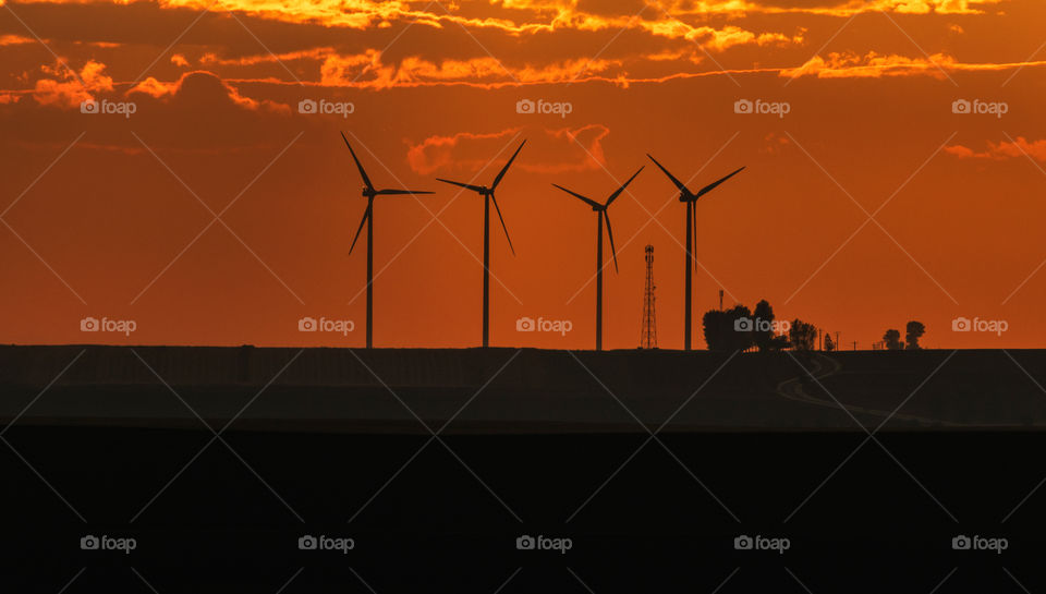 Wind turbine farm silhouettes