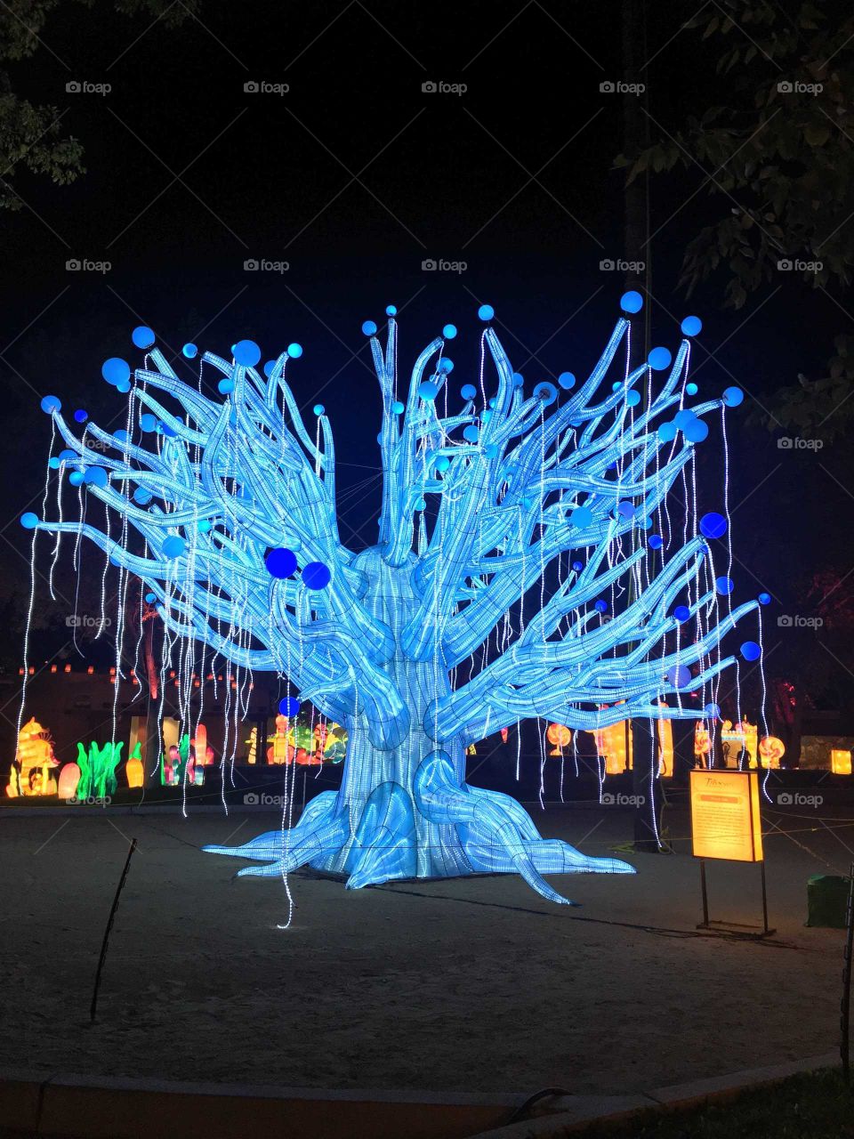 Chinese light festival prayer tree