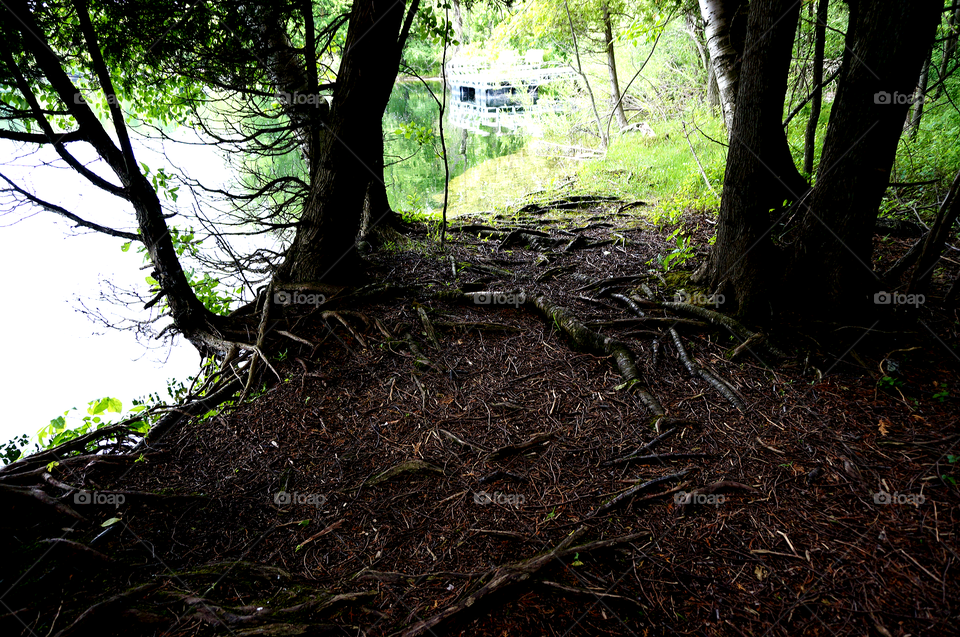 Nature. Quarry Trail