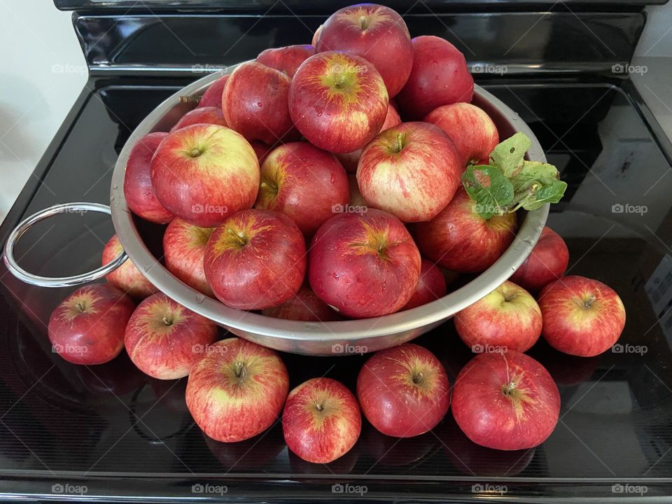 Fresh apples from the backyard