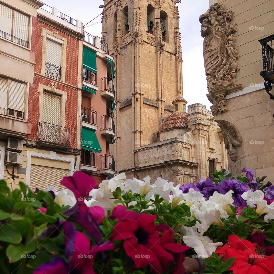 belfry and flowers