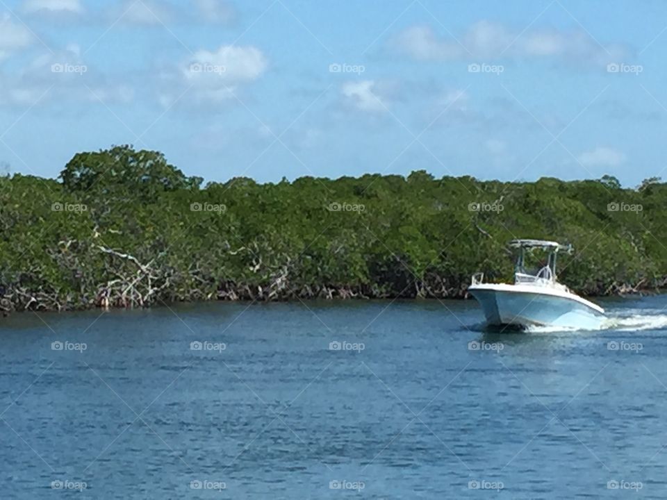 Boating in the mangroves