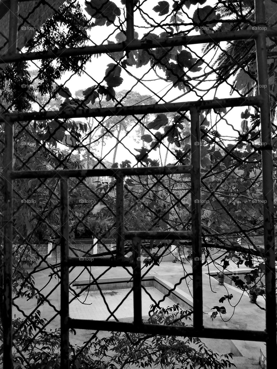 Beautiful view of pool and nature