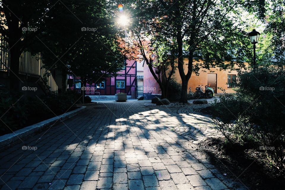 Autumn sun between houses and trees 