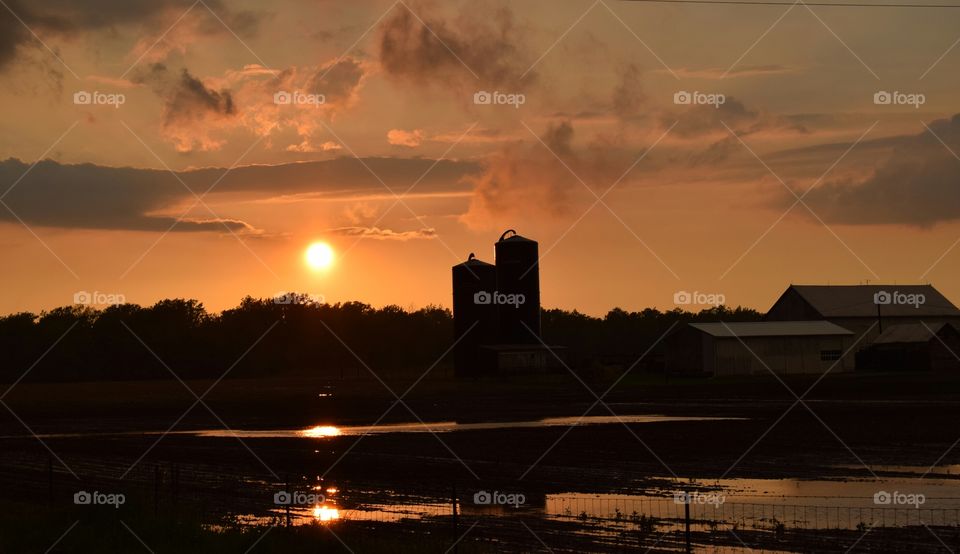 Reflections on  rural farmland