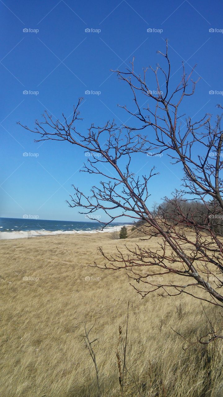 Shoreline in thawing