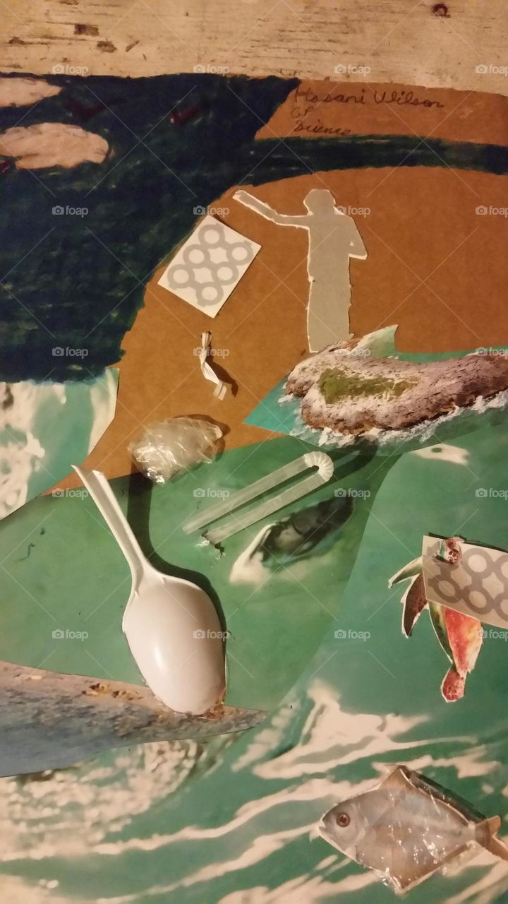 Environmental Project Poster 