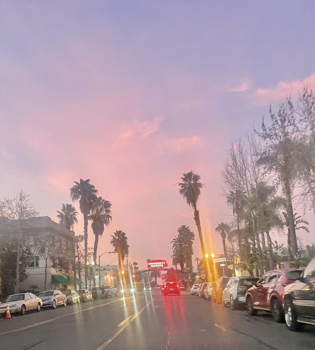 Pink dusk 