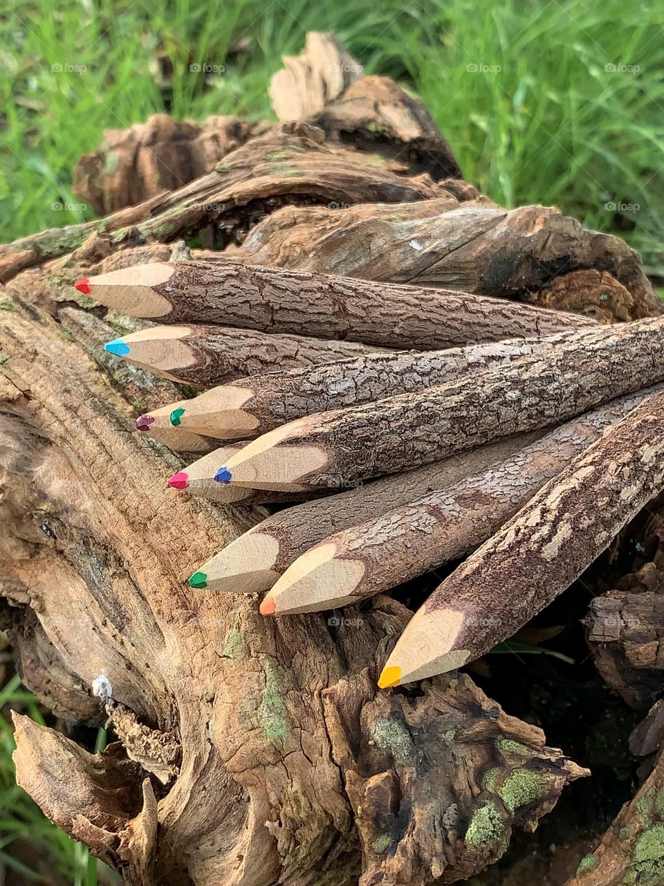 A collection on wooden twig pencils spread out over a log with a grassy background 