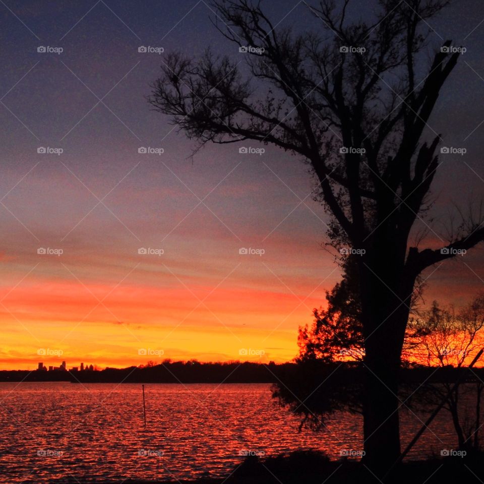 Sunset on White Rock Lake with silhouette of gnarled tree 