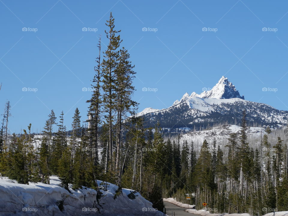 The magnificent snow covered Three Fingered Jack in Oregon’s Cascade Mountain Range against a clear blue sky on a beautiful spring day. 