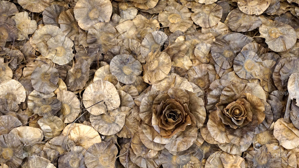 Handmade flower from leafs 